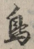 已定位鳥