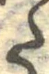 𛁠 위치 확인됨