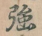 強 위치 확인됨
