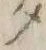 文字 タ