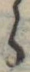 𛃰 위치 확인됨