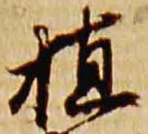 植 위치 확인됨