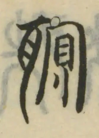 䏃の位置