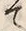 “て”字