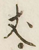 丈 위치 확인됨