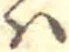 𛂞 위치 확인됨
