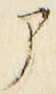 「ア」字
