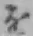 Chữ を