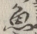 魚，已得其位