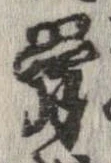 骨 위치 확인됨