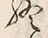 文字終