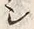文字シ