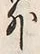 Chữ 外
