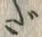 글자 ギ