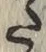 Character た