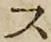 字ス