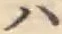 字ハ