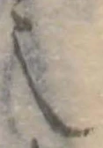 也 위치 확인됨