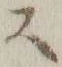 Chữ ス