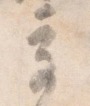 奇 위치 확인됨
