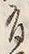 Character 有