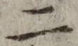 字二