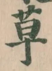 草 위치 확인됨