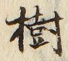 “樹”字