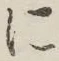 글자 に