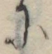 Đã định vị 𛂋
