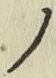 字ノ