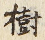 글자 樹