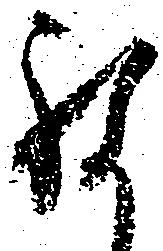已定位願