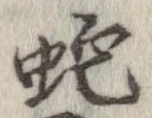 蛇 위치 확인됨