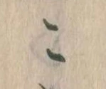 こ 위치 확인됨