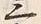 文字十