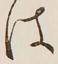 글자 は