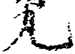 已定位丸