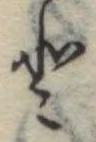 𛁻の位置
