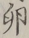 文字 卵