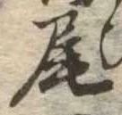 尾 위치 확인됨