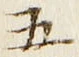 “五”字