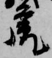 虎 위치 확인됨