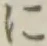 文字に