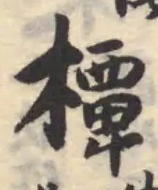 橝の位置