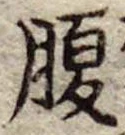 腹 위치 확인됨