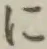文字に