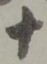 十 위치 확인됨