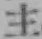 字主