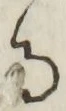 文字 る